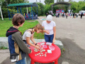  В парке Ангарска спорт объединили с правовым просвещением